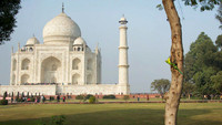 Asia (India) / Animals