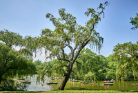 North America (USA) / Landscapes