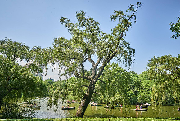 North America (USA) / Landscapes