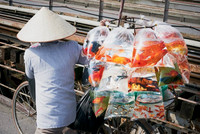 Asia (Vietnam) / Animals