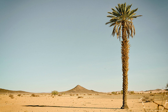 Africa (Morocco) / Landscapes