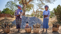 Asia (Myanmar) / People