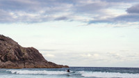 Australasia (Australia) / People
